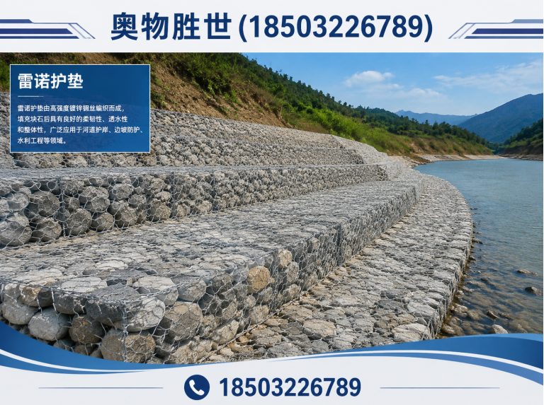 秦皇岛雷诺护垫展示图
